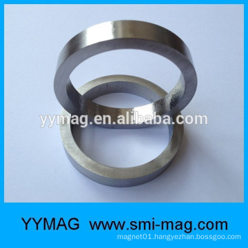 Large magnetic ring